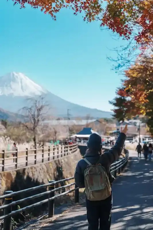 Solo Traveler Unique Advantages to Stay in Japan – 1